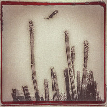 Load image into Gallery viewer, Alejandro Escovedo Con Don Antonio (2) : La Cruzada (2xLP, Album, RP, Whi)