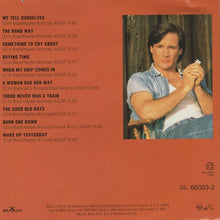 Laden Sie das Bild in den Galerie-Viewer, Clint Black : The Hard Way (CD, Album)