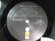 Load image into Gallery viewer, Jim Capaldi : Short Cut Draw Blood (LP, Album, San)