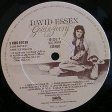 Charger l'image dans la galerie, David Essex : Gold & Ivory (LP, Album)