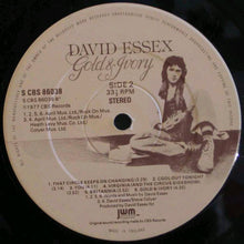 Charger l'image dans la galerie, David Essex : Gold & Ivory (LP, Album)