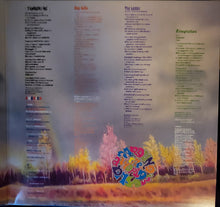 Laden Sie das Bild in den Galerie-Viewer, Prince And The Revolution : Around The World In A Day (LP, Album, RE)