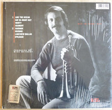 Load image into Gallery viewer, Mike Metheny : Day In - Night Out (LP, Album)