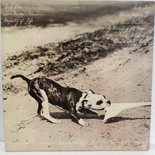 Laden Sie das Bild in den Galerie-Viewer, Phoebe Snow : Never Letting Go (LP, Album, Pit)