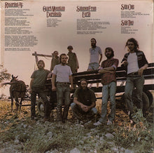 Load image into Gallery viewer, The Ozark Mountain Daredevils : Men From Earth (LP, Album, Ter)