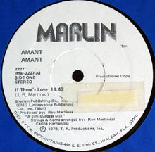 Load image into Gallery viewer, Amant : Amant (LP, Album, Promo)
