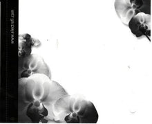 Load image into Gallery viewer, Miss Angel (2) : That's The Way I Tumble (CD, Album)