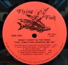 Load image into Gallery viewer, Sweet Honey In The Rock : Feel Something Drawing Me On (LP, Album)