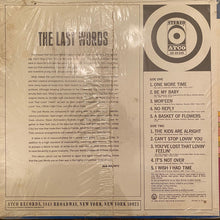 Load image into Gallery viewer, The Last Words (2) : The Last Words (LP, Album, MO-)
