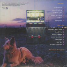 Charger l'image dans la galerie, The Bottle Rockets : 24 Hours A Day (LP, RE, Cok)