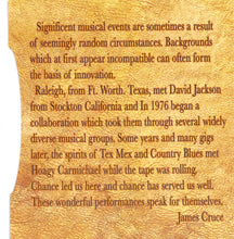 Load image into Gallery viewer, Raleigh Smith, David P. Jackson : Times Like These (CD, Ltd)