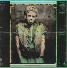 Load image into Gallery viewer, Bruce Cockburn : Stealing Fire (LP, Album, Ind)