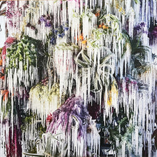 Load image into Gallery viewer, Wilco : Cousin (LP, Album)