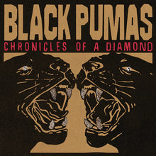 Load image into Gallery viewer, Black Pumas : Chronicles Of A Diamond (CD, Album)