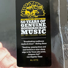 Laden Sie das Bild in den Galerie-Viewer, Delbert McClinton : Live From Austin (LP, Album, RE)