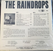 Load image into Gallery viewer, The Raindrops : The Raindrops (LP, Album, Mono)