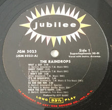 Load image into Gallery viewer, The Raindrops : The Raindrops (LP, Album, Mono)