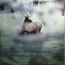 Load image into Gallery viewer, L.A. Express* : L.A. Express (LP, Album, Promo)