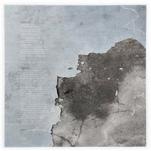 Charger l'image dans la galerie, Peter Wolf Crier : Garden Of Arms (LP)