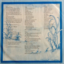 Laden Sie das Bild in den Galerie-Viewer, Jesse Winchester : A Touch On The Rainy Side (LP, Album)