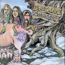 Load image into Gallery viewer, Black Oak Arkansas : High On The Hog (LP, Album, Pre)
