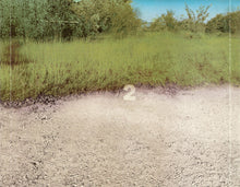 Load image into Gallery viewer, Steely Dan : Two Against Nature (CD, Album)