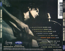 Load image into Gallery viewer, Townes Van Zandt : In The Beginning... (CD, Album)