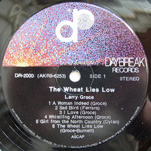 Laden Sie das Bild in den Galerie-Viewer, Larry Groce : The Wheat Lies Low (LP, Album)