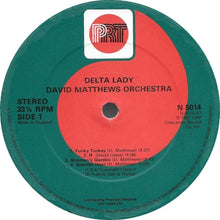 Laden Sie das Bild in den Galerie-Viewer, David Matthews Orchestra Featuring Earl Klugh : Delta Lady (LP, Album)