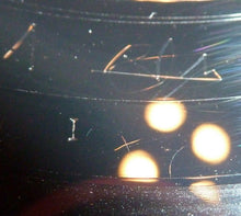 Laden Sie das Bild in den Galerie-Viewer, Bob Booker And Earle Doud Featuring Vaughn Meader With Earle Doud ~ Naomi Brossart ~ Bob Booker ~ Norma Macmillan : The First Family (LP, Album, Mono, Ind)