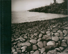 Load image into Gallery viewer, Diana Krall : The Girl In The Other Room (CD, Album, RP)