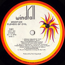Laden Sie das Bild in den Galerie-Viewer, Mountain : Flowers Of Evil (LP, Album)
