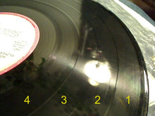 Laden Sie das Bild in den Galerie-Viewer, Mountain : Flowers Of Evil (LP, Album)