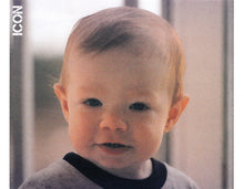 Load image into Gallery viewer, Bob Seger & The Silver Bullet Band* : Greatest Hits (CD, Comp, RE)