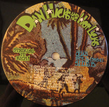Load image into Gallery viewer, Dan Hicks And His Hot Licks : Striking It Rich! (LP, Album, Quad, Gat)