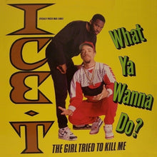 Load image into Gallery viewer, Ice-T : What Ya Wanna Do? (12", Maxi)