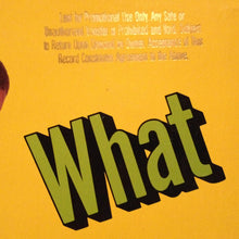 Load image into Gallery viewer, Ice-T : What Ya Wanna Do? (12", Maxi)