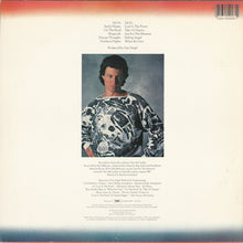 Load image into Gallery viewer, Dan Siegel : Northern Nights (LP, Album)