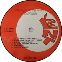 Charger l'image dans la galerie, Elmore James : The Legend Of Elmore James (LP, Comp)