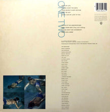 Load image into Gallery viewer, Michael Franks : Skin Dive (LP, Album, Spe)