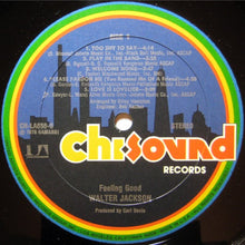 Laden Sie das Bild in den Galerie-Viewer, Walter Jackson : Feeling Good (LP, Album, All)