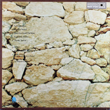 Load image into Gallery viewer, Ben Sidran : Puttin' In Time On Planet Earth (LP, Album, Pit)