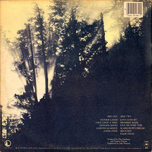 Load image into Gallery viewer, Dan Fogelberg : Nether Lands (LP, Album, RE, Gat)