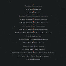 Laden Sie das Bild in den Galerie-Viewer, Floyd McDaniel And The Blues Swingers : Let Your Hair Down! (CD, Album)