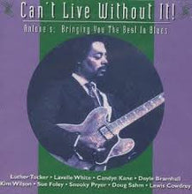 Laden Sie das Bild in den Galerie-Viewer, Various : Can't Live Without It (CD, Comp)