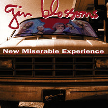 Load image into Gallery viewer, Gin Blossoms : New Miserable Experience (LP, Album, RE)
