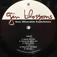 Load image into Gallery viewer, Gin Blossoms : New Miserable Experience (LP, Album, RE)
