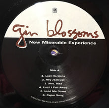 Load image into Gallery viewer, Gin Blossoms : New Miserable Experience (LP, Album, RE)
