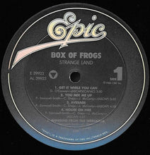 Load image into Gallery viewer, Box Of Frogs : Strange Land (LP, Album, Pit)
