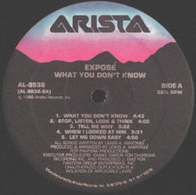 Load image into Gallery viewer, Exposé : What You Don&#39;t Know (LP, Album)
